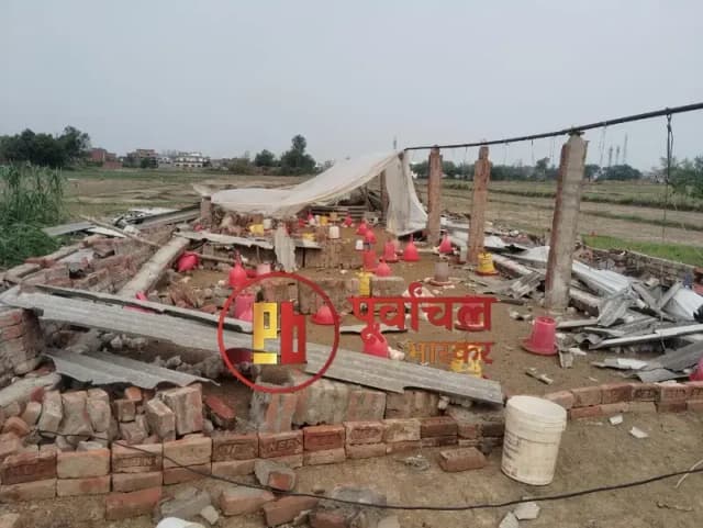 Chandauli News: तेज आंधी-तूफान से भारी नुकसान, पेड़ गिरने से बिजली आपूर्ति ठप, पोल्ट्री फार्म में 2000 चूजों की मौत.

