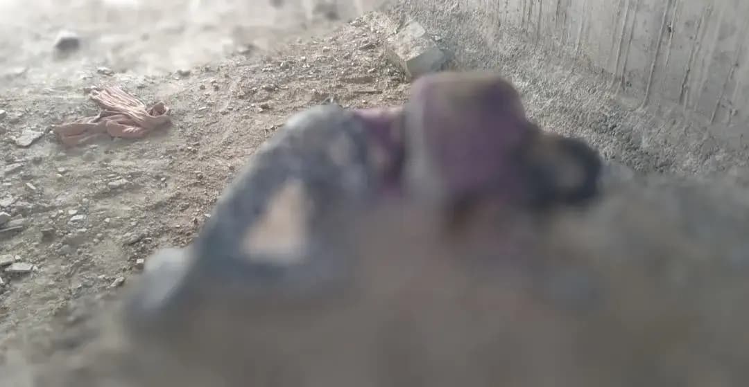 Img