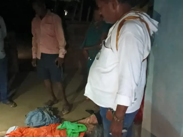 Sonbhadra News: सर्पदंश से बुजुर्ग महिला की मौत, परिवार में मचा कोहराम.