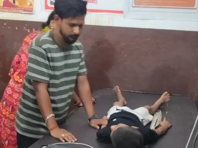 Sonbhadra News: खेलते समय रसेल वाइपर ने 5 वर्षीय मासूम को डसा, परिजनों में हड़कंप.