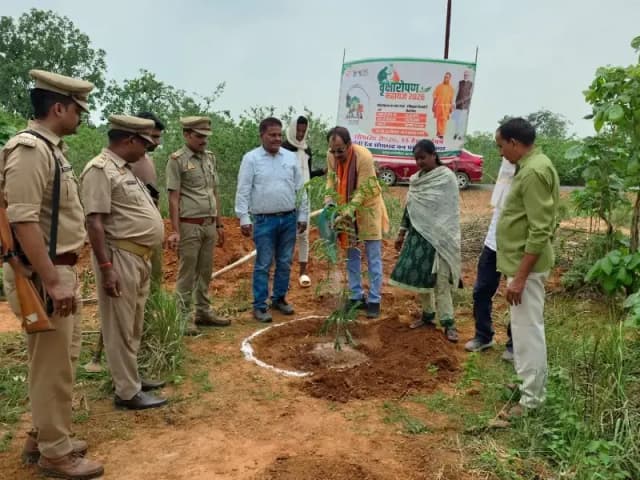 Sonbhadra News: 'एक पेड़ मां के नाम' अभियान के तहत सियरिया गांव में हुआ वृहद वृक्षारोपण.