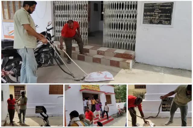 Sonbhadra News: चोपन ब्लॉक परिसर के गोदाम में निकला विशालकाय सांप, कर्मचारियों में मची दहशत, सुरक्षित रेस्क्यू कर जंगल में छोड़ा गया.