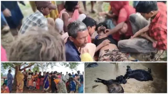 Sonbhadra News: आकाशीय बिजली ने ली दो युवकों की जान, दो बकरियों की भी मौत.