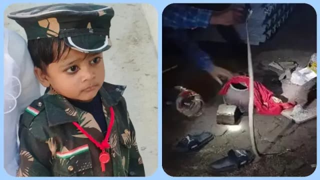 Chandauli News: घर के बाहर खेल रहे तीन वर्षीय मासूम को सांप ने डसा, इलाज के दौरान मौत.