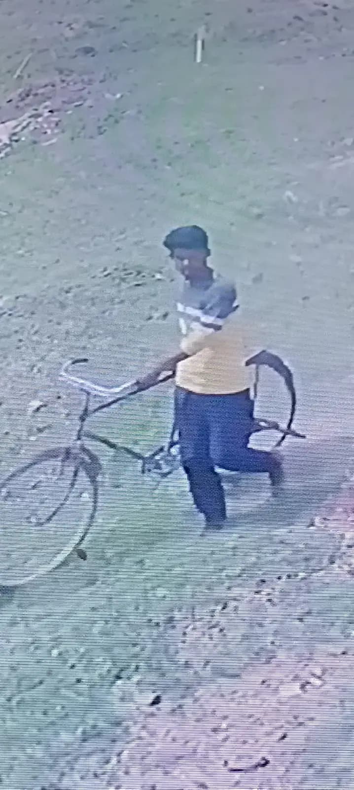 Img