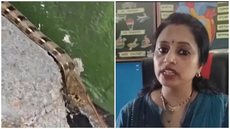 Sonbhadra News: प्राथमिक विद्यालय पतेरीटोला में लगातार दो दिन निकले विषैले करैत, बच्चों को सुरक्षित निकाला गया.