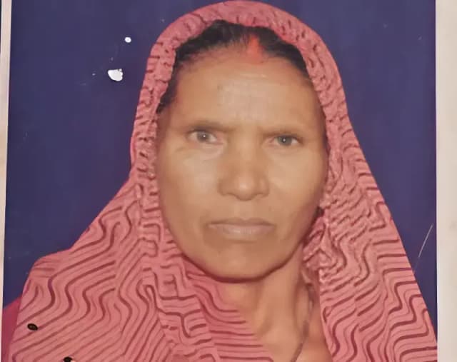 Chandauli News: उपले लेने गई वृद्धा को सांप ने डंसा, जिला अस्पताल में इलाज के दौरान मौत.
