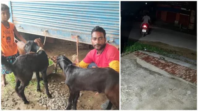 Sonbhadra News: मां के इंतजार में बिलख रहे बकरी के बच्चे, अजय कुमार परेशान.