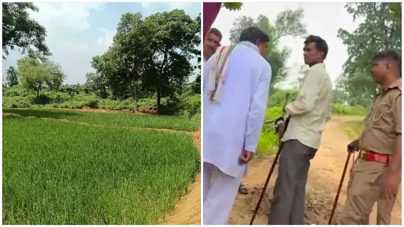 Sonbhadra News: चकबकदरी सानी में वन भूमि कब्जे की जांच के दौरान हंगामा.