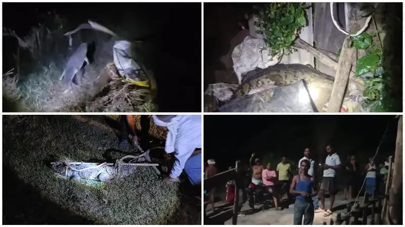 Sonbhadra News: आबादी के बीच पहुंचा विशालकाय मगरमच्छ, देर रात तक चला रेस्क्यू.