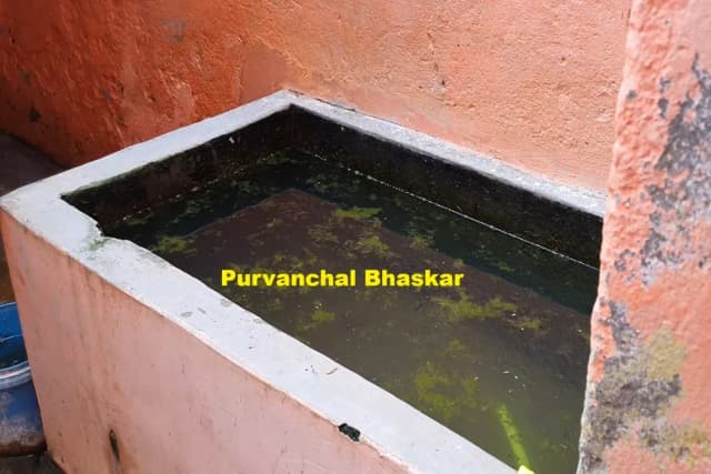Chandauli News: काजी हाउस में भगवान भरोसे है गौवंश, देखभाल की जगह मनरेगा में मजदूरी करते हैं केयरटेकर.