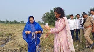 मोथा तूफान ने मचाई तबाही, किसानों पर टूटी मुसीबत।Cyclone Motha wreaks havoc, farmers face hardship