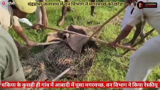 देखिए मगरमच्छ ने कैसे किया हमला