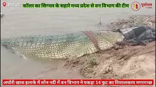 मगरमच्छ के पीछे एमपी से आई वन विभाग की टीम। Forest department team from MP came after the crocodile