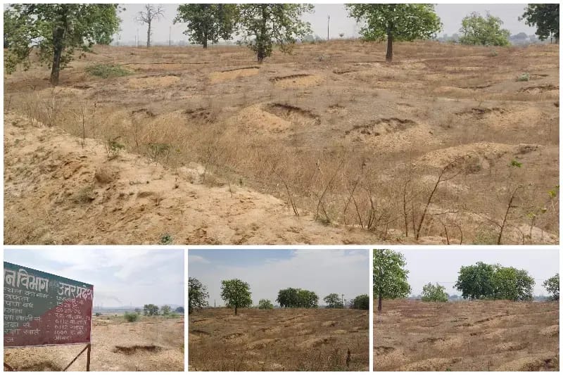 Sonbhadra News : रेणुका नदी किनारे वृक्षारोपण में लाखों का ‘खेला’, मानकों की खुली अनदेखी.