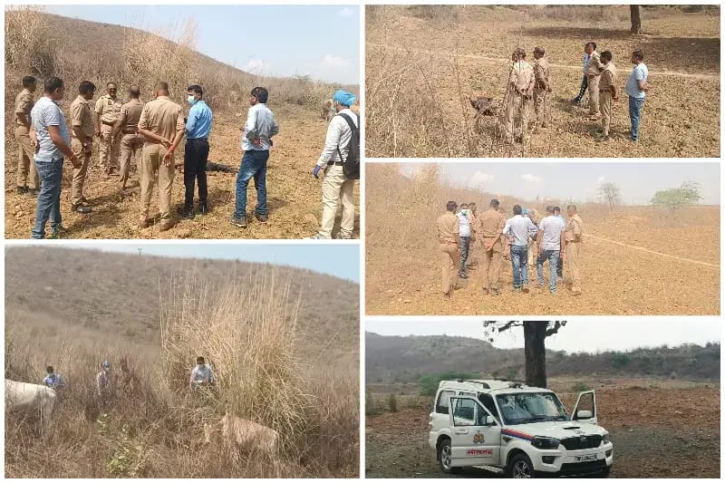 Sonbhadra News: बघबनवा क्षेत्र में झाड़ियों में मिला अज्ञात युवक का शव.