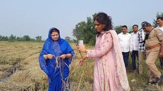 मोथा तूफान ने मचाई तबाही, किसानों पर टूटी मुसीबत।Cyclone Motha wreaks havoc, farmers face hardship