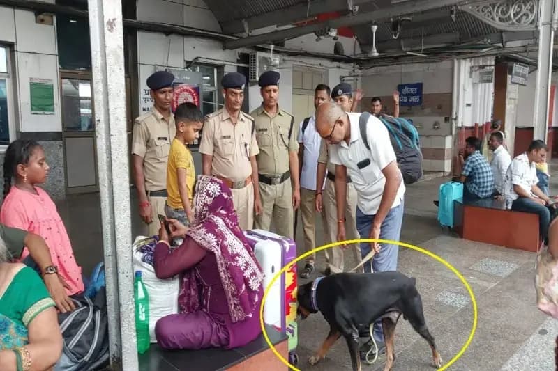 Chandauli News: स्वतंत्रता दिवस के मद्देनजर आरपीएफ और डॉग स्क्वाड की टीम ने चलाया चेकिंग अभियान.