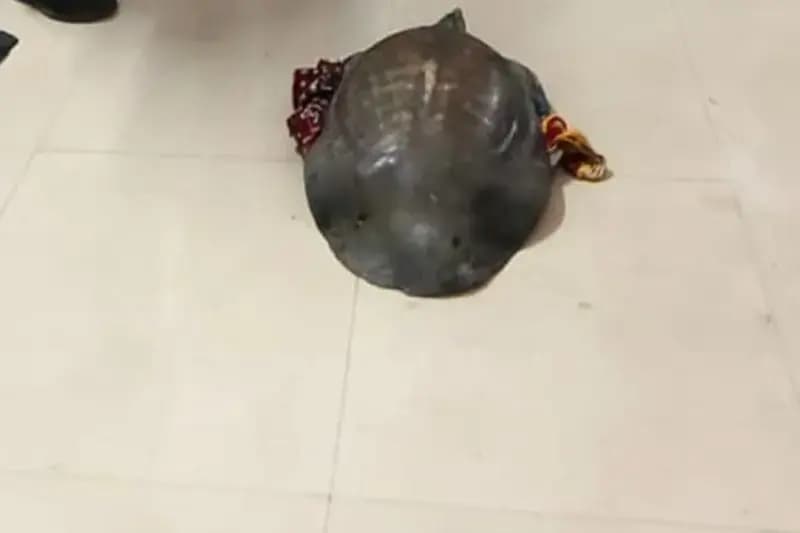 Chandauli News: प्लेटफार्म पर अचानक बैग हिलता देख सन्न रह गए जीआरपी जवान, बैग खोला तो हो गए हैरान.