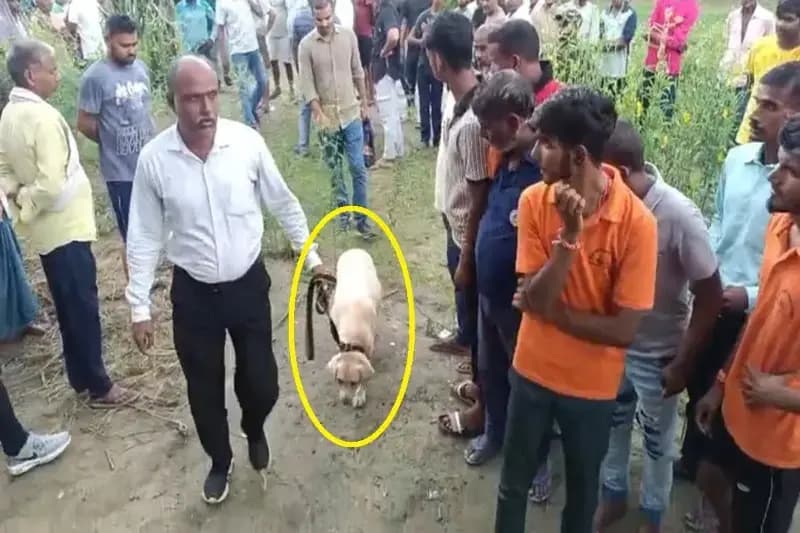 Chandauli News: दूध लेकर पहुंची बच्ची ने खोला घर का दरवाजा निकली चीख, घर में खून से लथपथ पड़ा था वृद्ध महिला का शव.