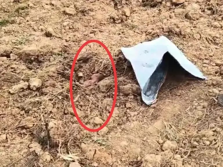 Sonbhadra News: ममता को शर्मशार करने वाली घटना ने किया अचंभित, नवजात को जन्म देने के बाद महिला ने नवजात को खेत में दफनाया.