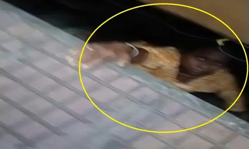 Chandauli News: चलती ट्रेन में चढ़ने के प्रयास में गिरी महिला को आरपीएफ जीआरपी ने बचायी जान.