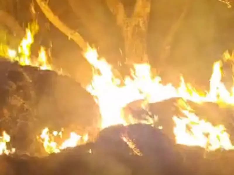 Chandauli News: अज्ञात कारणों से लगी आग में दो बीघा धान की खड़ी फसल व चार बीघा पुवाल जलकर राख.