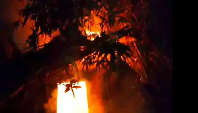 Chandauli News: मड़ई नुमा मकान में आगजनी, हजारों का सामान जलकर राख.