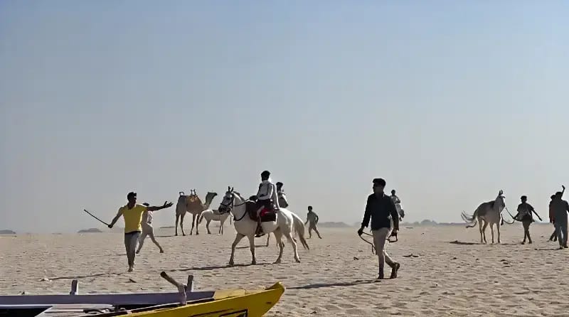 Chandauli News: गंगा तट पर नाव चालकों और घोड़ा-ऊंट संचालकों में खुनी झड़प, वीडियो वायरल.