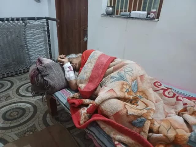 Chandauli News: पागल कुत्ते के जबड़े फाड़ दरोगा बेटे ने बचाई मां की जान, घटना से सनसनी.