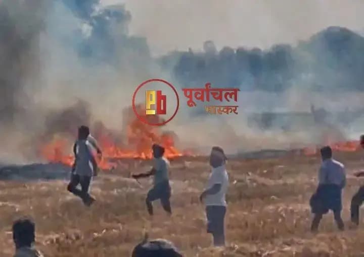 Chandauli News: आग का कहर, खेत में खड़ी 5 बीघा गेहूं की फसल जलकर राख, किसानों में मायूसी.