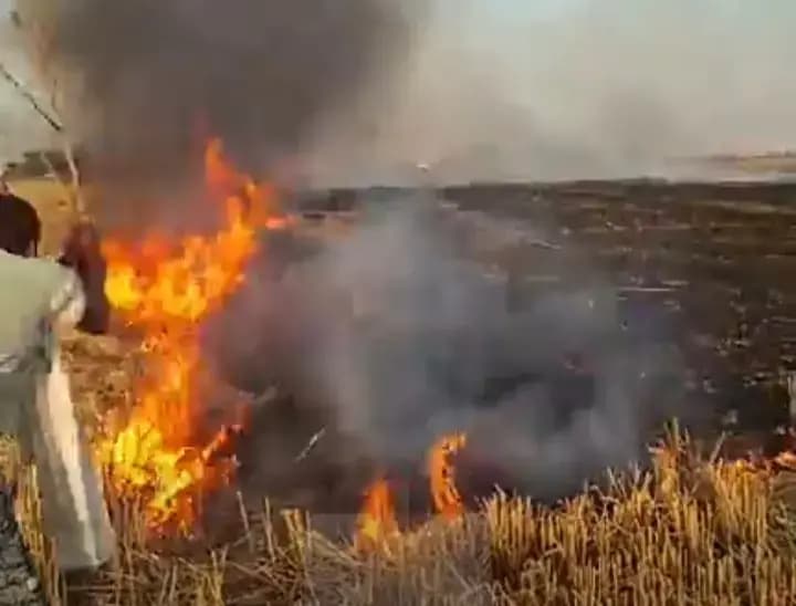 Chandauli News: तीन गांवों में आग से 25 बीघा गेहूं की फसल जली, किसानों में हड़कंप.