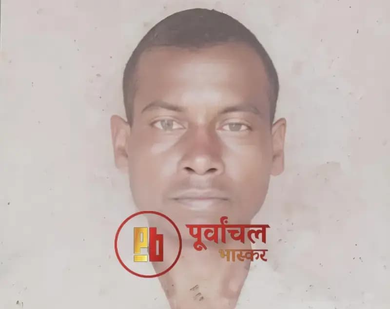 Chandauli News: सर्पदंश से 40 वर्षीय युवक की मौत, पत्नी व तीन बेटों पर टूटा दुखों का पहाड़.