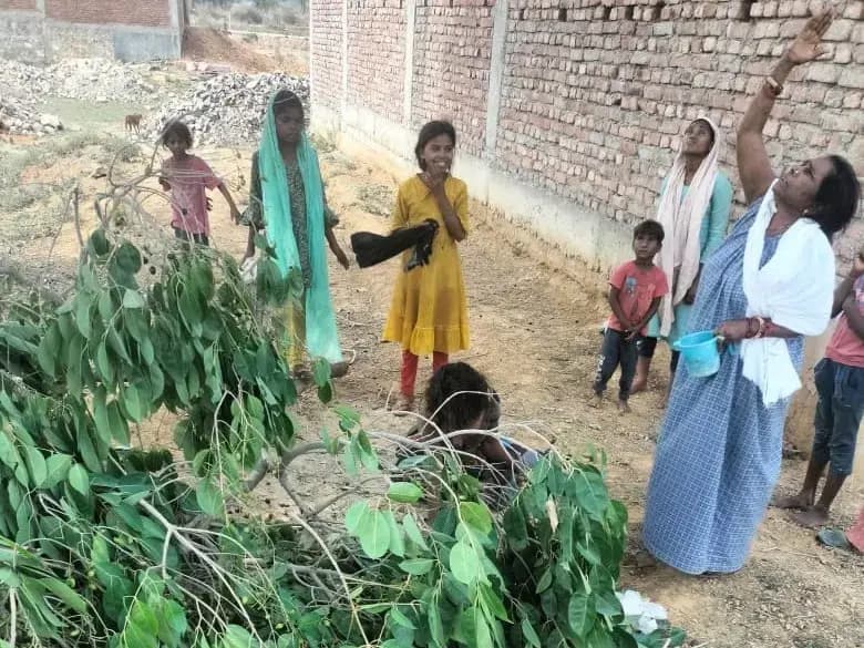 Sonbhadra News: जामुन के पेड़ ने उजाड़ दी खुशियां, तीन मासूम बच्चों को छोड़ गई मां.