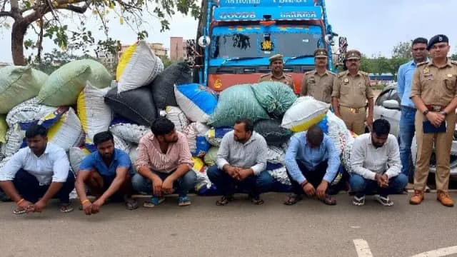 Sonbhadra News: गांजा तस्करी के बड़े नेटवर्क का भंडाफोड़, 6 गिरफ्तार, मोबाइल नंबर बदलकर कर रहे थे शातिर तरिके से तस्करी.