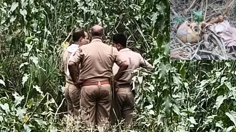 Sonbhadra News: झाड़ियों में छिपा मौत का रहस्य, मिले नर कंकाल की जांच शुरू.
