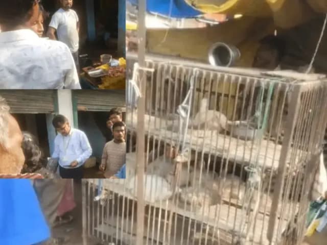 Sonbhadra News: कोन में खाद्य सुरक्षा विभाग की बड़ी कार्रवाई, दो अवैध मीट दुकानों पर मुकदमा दर्ज.