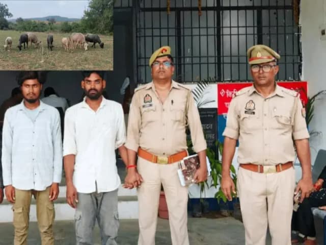 Sonbhadra News: चोपन पुलिस का बड़ा खुलासा, चोरी की 7 पशुओं के साथ दो चोर गिरफ्तार.