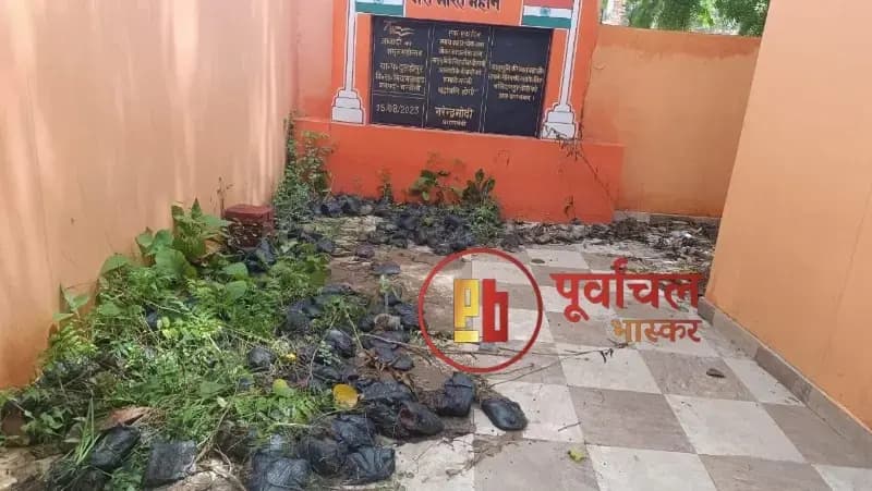 Chandauli News: कागजों में हरा-भरा वृक्षारोपण, दुलहीपुर पंचायत भवन पर सूख रहे 200 से अधिक पौधे.