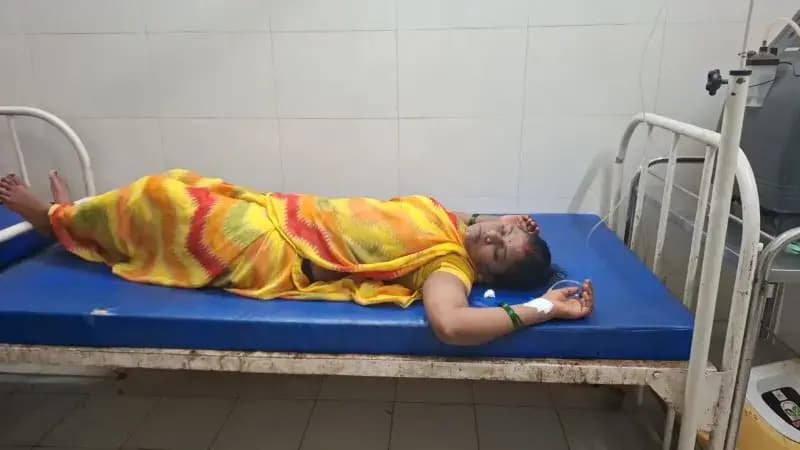 Chandauli News: गोइठा निकालने गई महिला को जहरीले सांप ने डसा, अस्पताल में भर्ती.