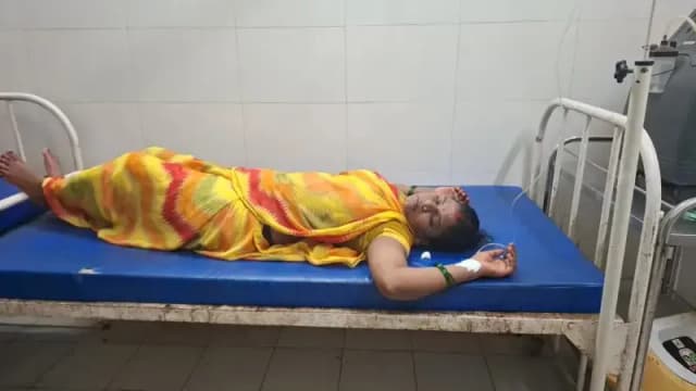 Chandauli News: गोइठा निकालने गई महिला को जहरीले सांप ने डसा, अस्पताल में भर्ती.