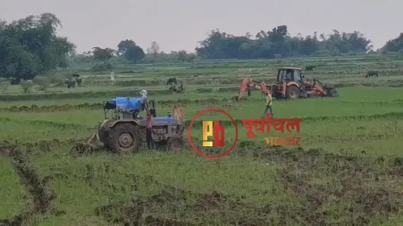 Chandauli News: 5.5 हेक्टेयर सरकारी जमीन अतिक्रमण मुक्त, एसडीएम के नेतृत्व में चला अभियान.