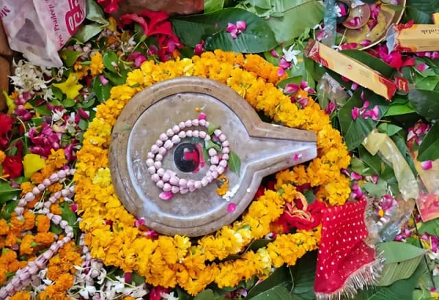 Chandauli News: 14 अगस्त को मनाया जाएगा श्री प्रकटेश्वर महादेव का प्रथम प्राकट्य दिवस, सामूहिक रुद्राभिषेक में उमड़ेंगे श्रद्धालु.