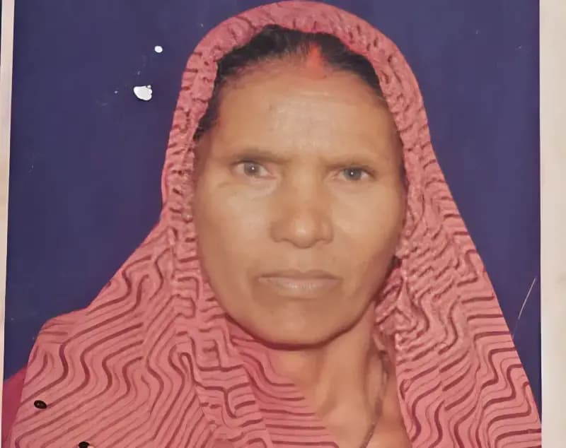 Chandauli News: उपले लेने गई वृद्धा को सांप ने डंसा, जिला अस्पताल में इलाज के दौरान मौत.