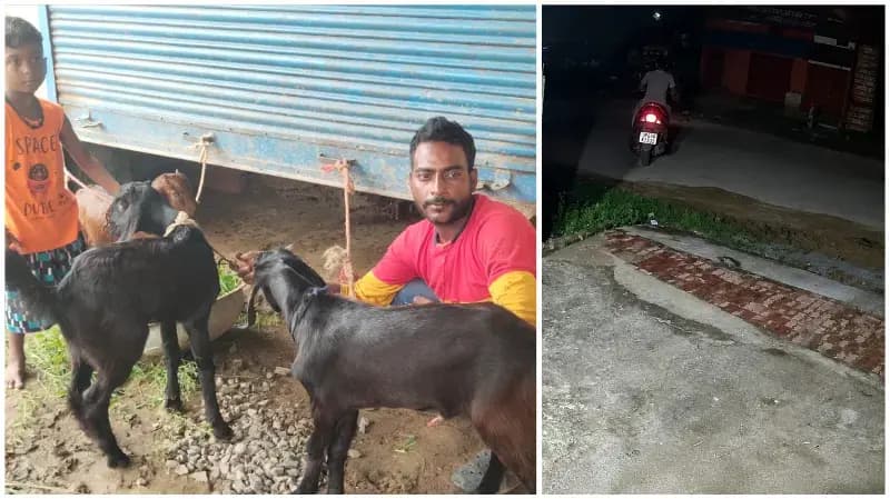 Sonbhadra News: मां के इंतजार में बिलख रहे बकरी के बच्चे, अजय कुमार परेशान.