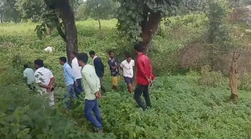 Sonbhadra News: गांव के पास पेड़ पर लटका दिखा कुछ ऐसा की मच गया हड़कंप.