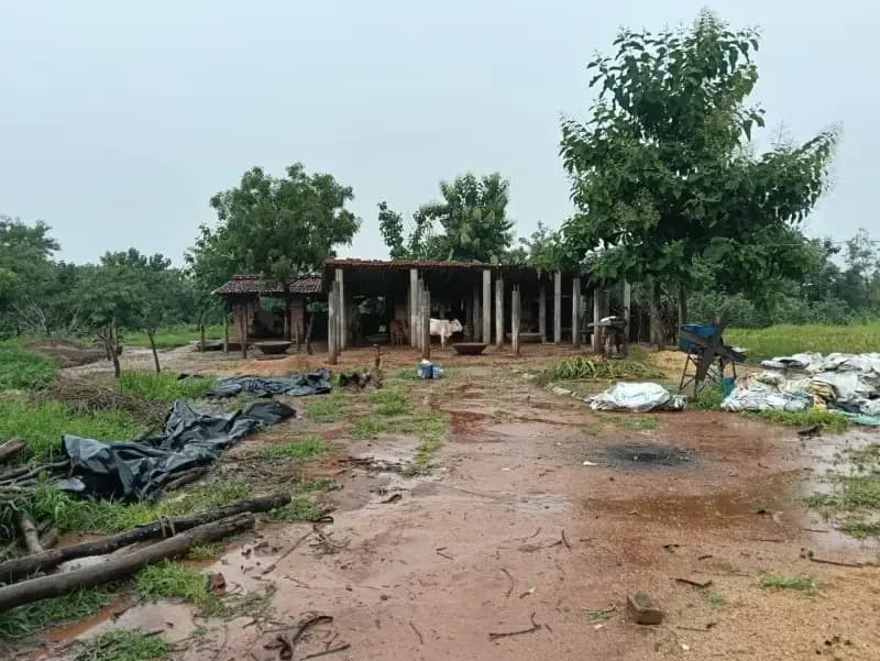 Sonbhadra News: खैराडीह में तीन बीघा वन भूमि पर कब्जे का आरोप, ग्रामीणों में आक्रोश.