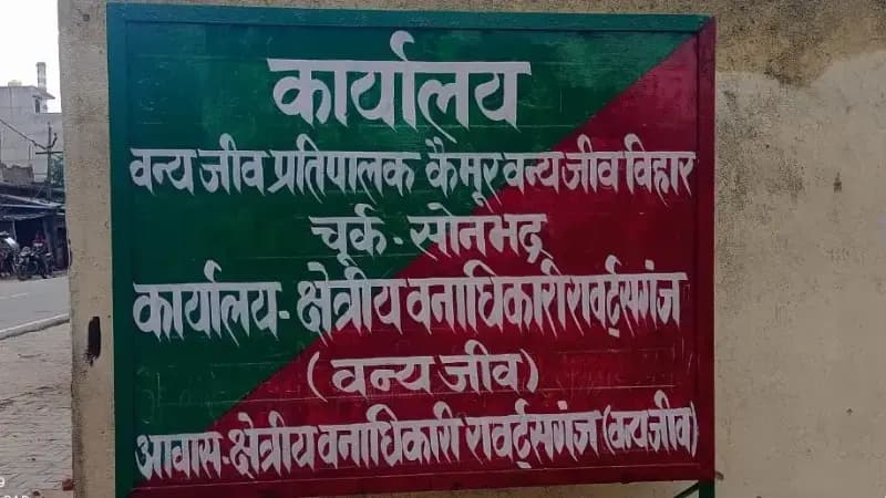 Sonbhadra News: जंगली सुअर के दो बच्चों के शिकार में शिकारी गिरफ्तार, गुरमा जेल भेजा गया.