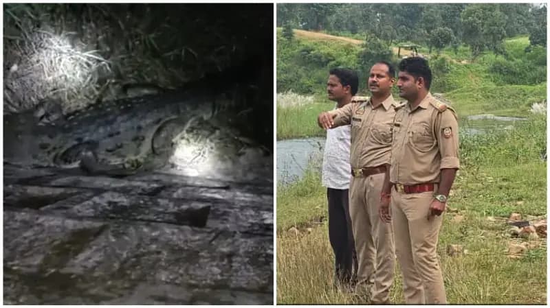 Sonbhadra News: मैंरहवा-बघमड़वा के बीच नदी में मगरमच्छ दिखने से हड़कंप, ग्रामीणों में दहशत.