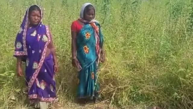 Sonbhadra News: खेत में संदिग्ध परिस्थितियों में मिला वृद्ध का शव, पोस्टमार्टम के लिए भेजा.